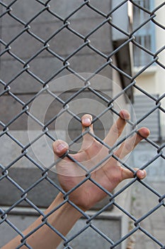 Hand in the cage