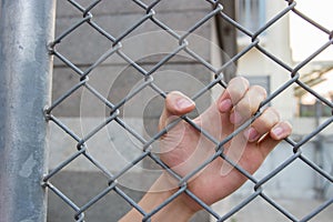 Hand in the cage