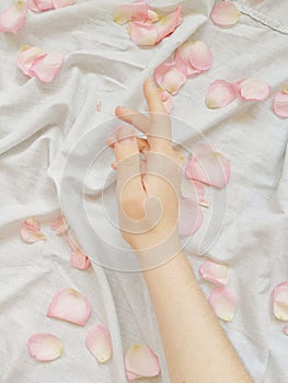 Hand care. Delicate skin on a white background. Rose petals