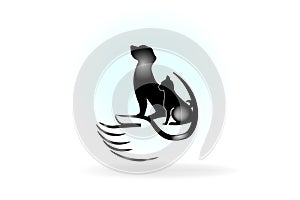 Hand care a dog and cat logo vector image