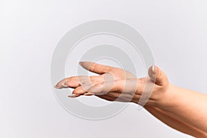 Hand of caucasian young woman with flat palm presenting product, offer and giving gesture, blank copy space