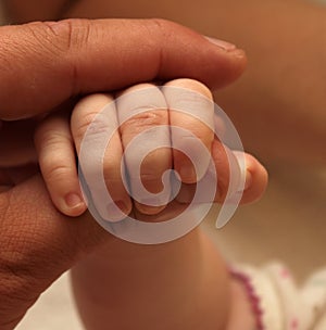 The hand of the child holds a hand of the adult close