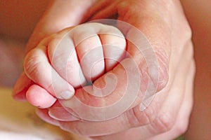 Hand of child lies in maternal hand.