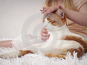 The hand of a child stroking a cat happy