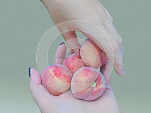 The hand of a child takes a peach from a handful of peaches lying on the palm of an adult