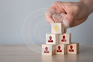 Hand choosing wood cube with icon light bulb and human symbol