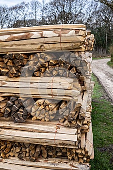 Hand Cleft Chestnut Coppiced Pales