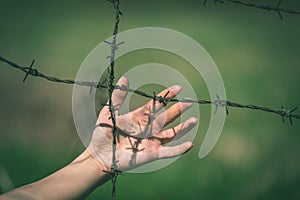 Hand clutch at barbed wire fence on green background - vintage r