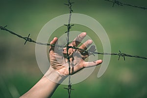 Hand clutch at barbed wire fence on green background - vintage r