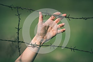 Hand clutch at barbed wire fence on green background - vintage r