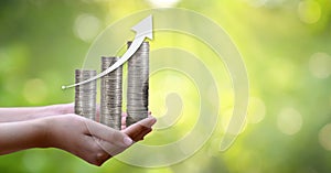 Hand Coin tree The tree grows on the pile. Saving money for the future. Investment Ideas and Business Growth. Green background