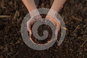 Hand collect soil in hand top view