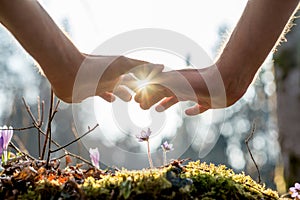 Hand Covering Flowers at the Garden with Sunlight