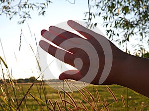 The hand covers the bright sun and there is a lot of green grass around. Bright