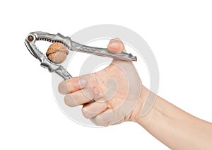 Hand cracking a walnut