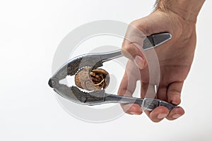 Hand cracks a nut with a nutcracker.