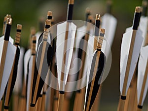 Hand crafted arrows in medieval style photo
