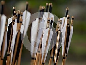 Hand crafted arrows in medieval style each arrow with feather