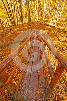Hand Crafted Foot Bridge in the Fall Forest