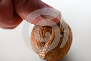 Hand crushes walnut on white background
