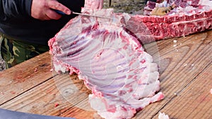 Hand-cut pork, freshly slaughtered pig, pig slaughter festival, Belo Blato, Vojovina, Serbia, March 12, 2017.