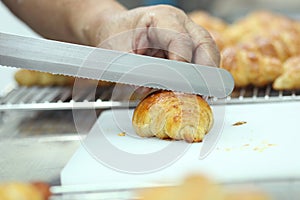 Hand cutting croissant