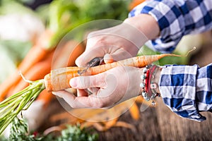 Hand cutting vegetables.Women hands is slicing carrot on wooden board near vegetables