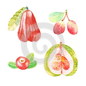 Hand dawn set with watercolor fruits, fresh food