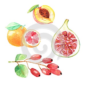 Hand dawn set with watercolor fruits, fresh food