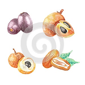 Hand dawn set with watercolor fruits, fresh food