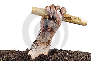 Hand of dead climbs out of the grave and hold paper scroll isolated on white background