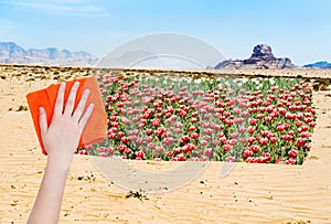 Hand deletes desert by orange cloth