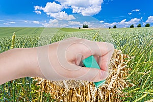 Hand deletes green wheat field by rubber eraser