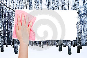 Hand deletes winter birch trees by pink rag