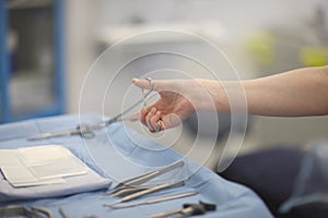 The hand of a dental assistant with a tool