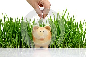 Hand deposit money in piggy bank photo