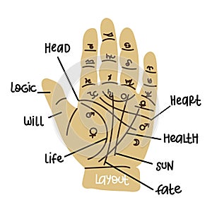 A hand for divination with the lines of life, head, fate. a layout for studying fortune-telling. Fortune tellers on