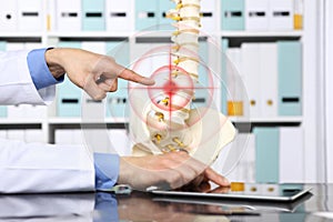 Hand doctor pointing the skeleton of spine, hernia concept causes