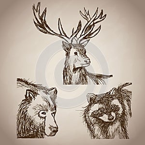 Hand draw animals forest vintage