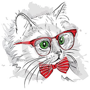 Hand draw cat in the glass and mustache. Vector illustration