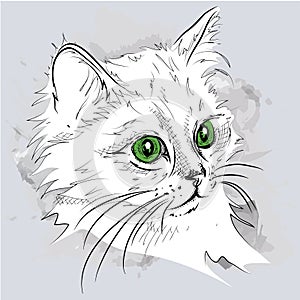 Hand draw cat portrait. Vector illustration