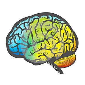 Hand Draw Colorful Brain
