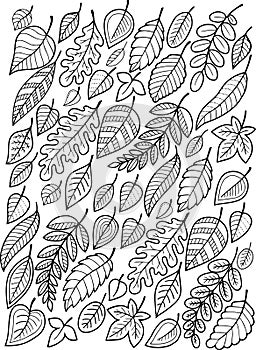 Hand draw doodle coloring page for adult. Falling autumn leaves