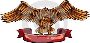 hand draw of eagle vector illustration design