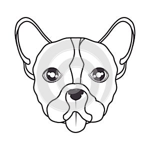 hand draw face dog icon