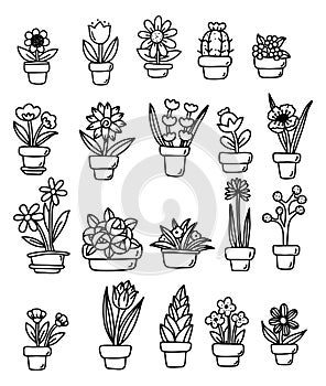 Hand draw floral with pot and botanical icon,elements,hand drawn,doodle,clipart.vector