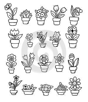 hand draw floral with pot and botanical icon,elements,hand drawn,doodle,clipart.vector