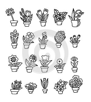Hand draw floral with pot and botanical icon,elements,hand drawn,doodle,clipart.vector