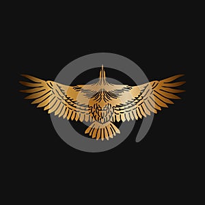 Hand Draw Flyin Eagle Golden Background Isolated Black