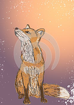 Hand draw fox on snowing background